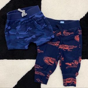 Gap Shorts & Alligator Sweatpants